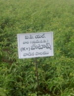 Andhra Pradesh 4